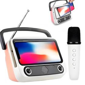 Karaoké Bluetooth avec microphone sans fil et support pour téléphone portable
