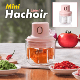 Mini Hachoir électrique Portable Rechargeable 250 ML